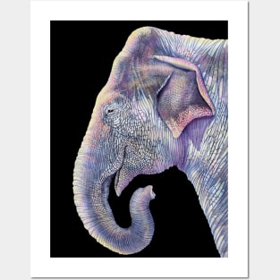 Elephant Posters and Art